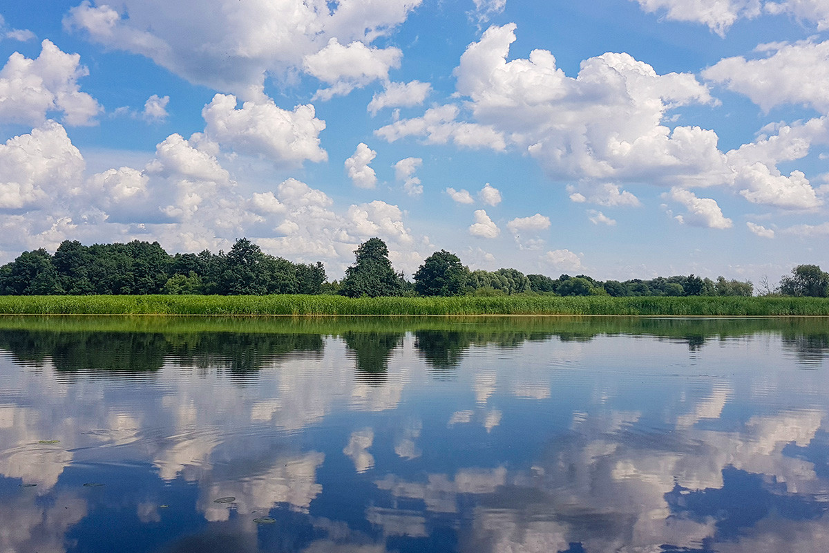 Vandens telkinys su medžių juosta ir debesų atspindžiais vandenyje.