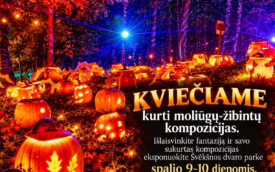 Kvietimo kurti moliūgų-žibintų kompozicijas plakatas
